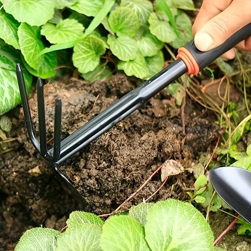 Gardening Tools Including a Small Shovel for Planting Flowers, a Five-Pronged Rake, a Double-Headed Rake