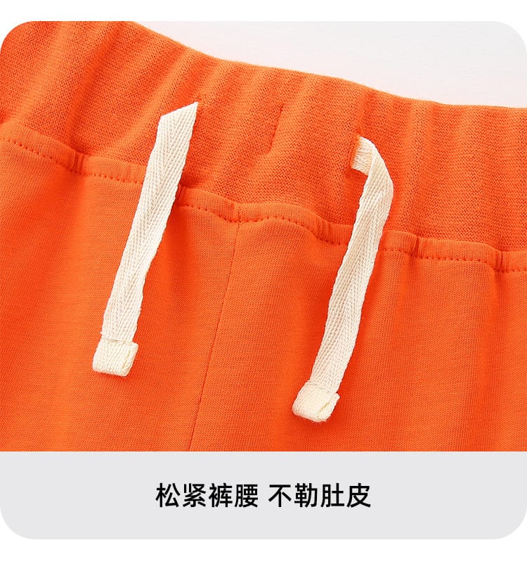 Little maven Baby Boys 2026 New Tracksuit Summer Cotton Children's Clothing Sets Cartoon Animals Tops+Pants Kids Clothes