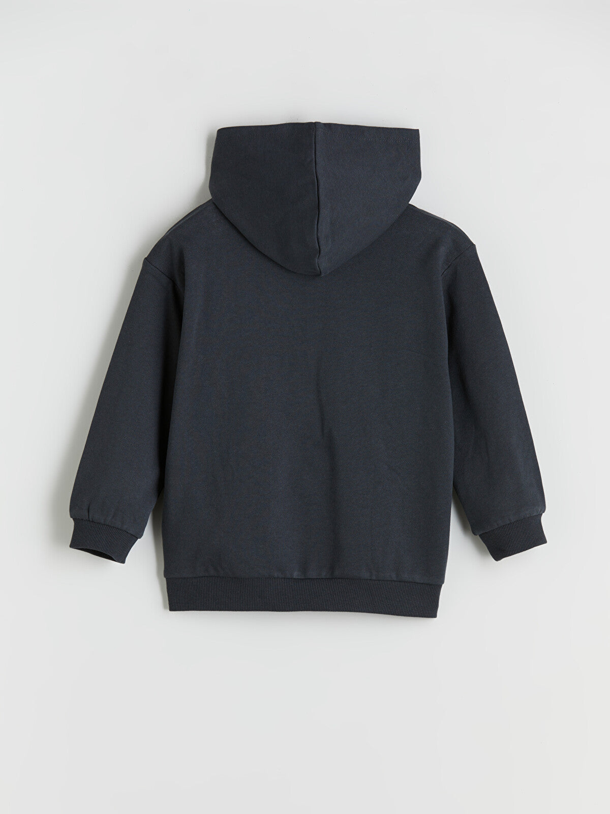 LCW Kids Boys' Thick Hooded Sweatshirt And Tracksuit