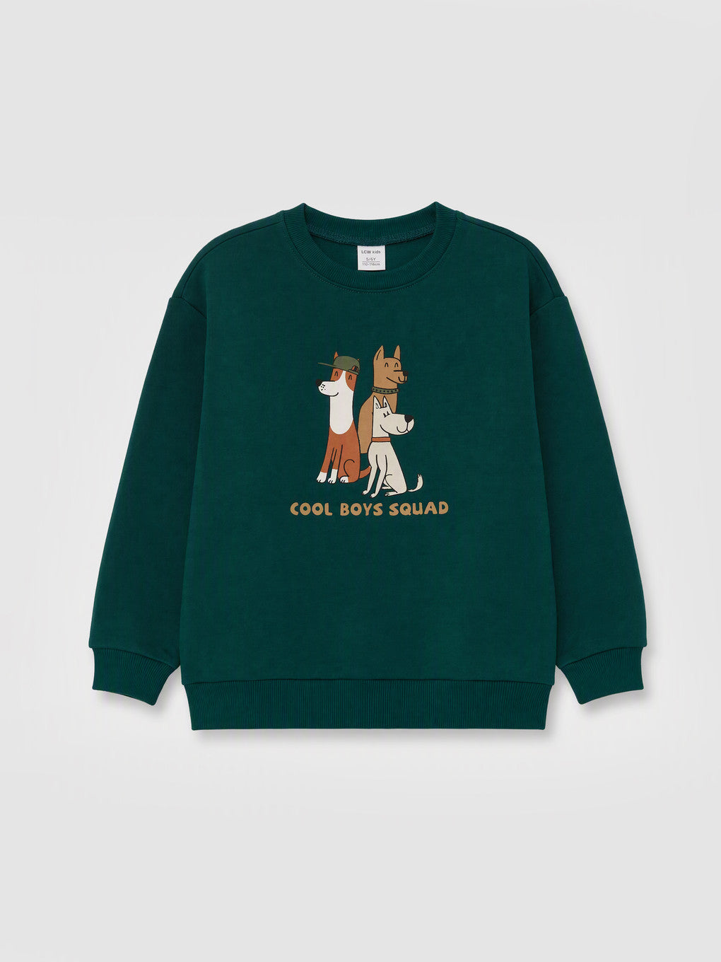 3-4 Years LCW Kids Printed Boys' Thick Sweatshirt Available in stock